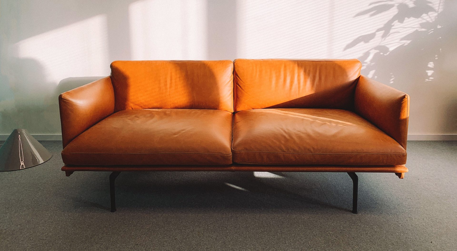 Professionally cared-for leather sofa in a bright interior